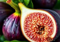 Figa – superfood pełen właściwości zdrowotnych i odżywczych