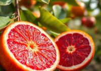 Czerwona pomarańcza – zdrowotne właściwości i zastosowanie w diecie