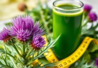 Ostropest plamisty w diecie odchudzającej – jak wspiera procesy metaboliczne?